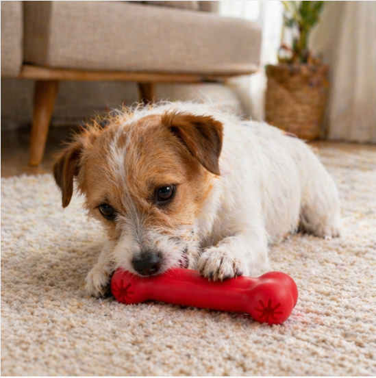 Interactive Dental Treat-Dispensing Tire Toy