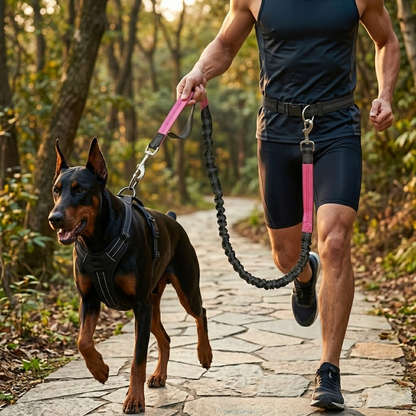Dual-Handle Reflective Bungee Leash