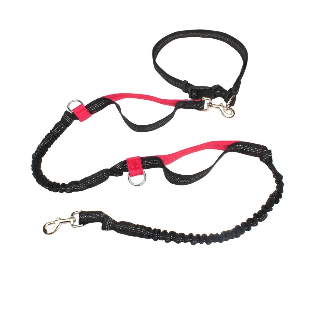 Dual-Handle Reflective Bungee Leash