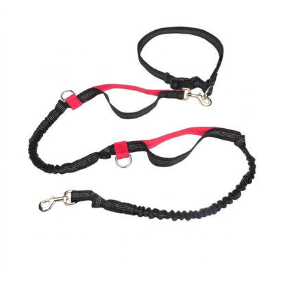 Dual-Handle Reflective Bungee Leash