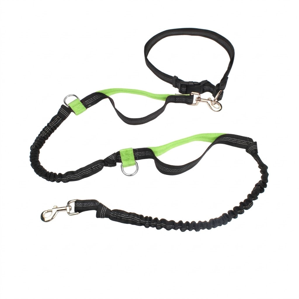 Dual-Handle Reflective Bungee Leash