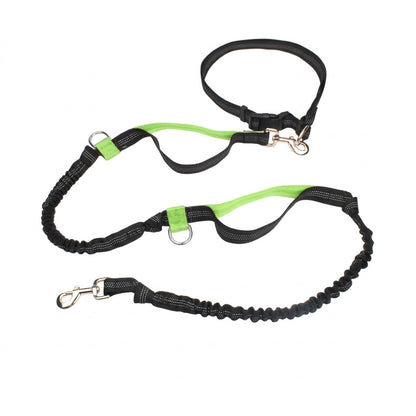 Dual-Handle Reflective Bungee Leash