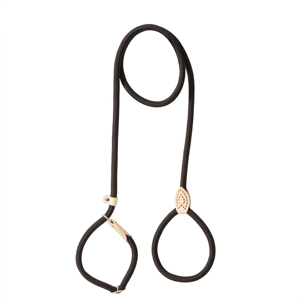 Professional Training Braided Slip Lead