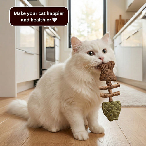 Let Your Cat Brush Their Own Teeth! 🦷🐱