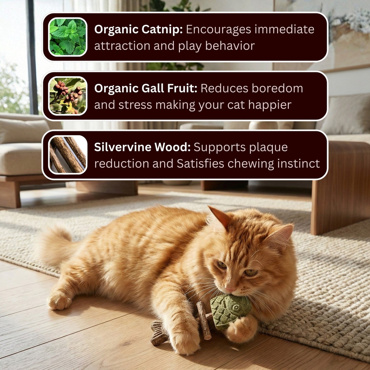 Let Your Cat Brush Their Own Teeth! 🦷🐱