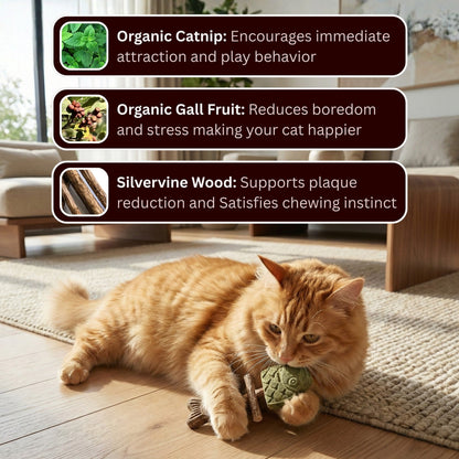 Let Your Cat Brush Their Own Teeth! 🦷🐱
