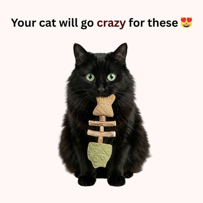Let Your Cat Brush Their Own Teeth! 🦷🐱