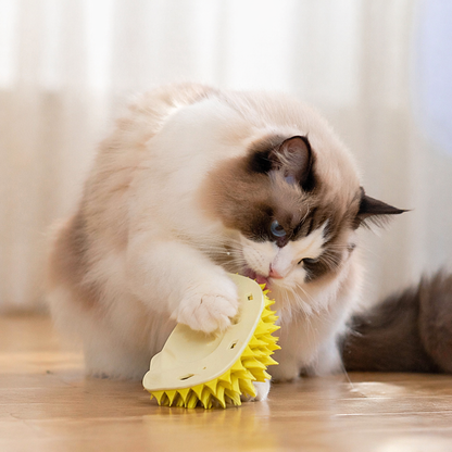 Durian-Inspired Interactive Self-Groomer